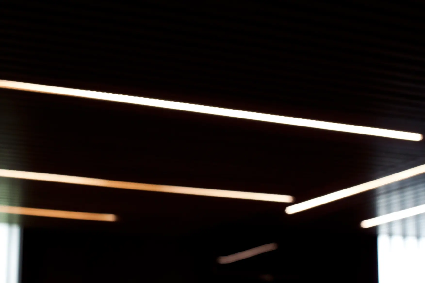 Proyecto De Interiorismo En Residencias | Bodega Unifamiliar | 13