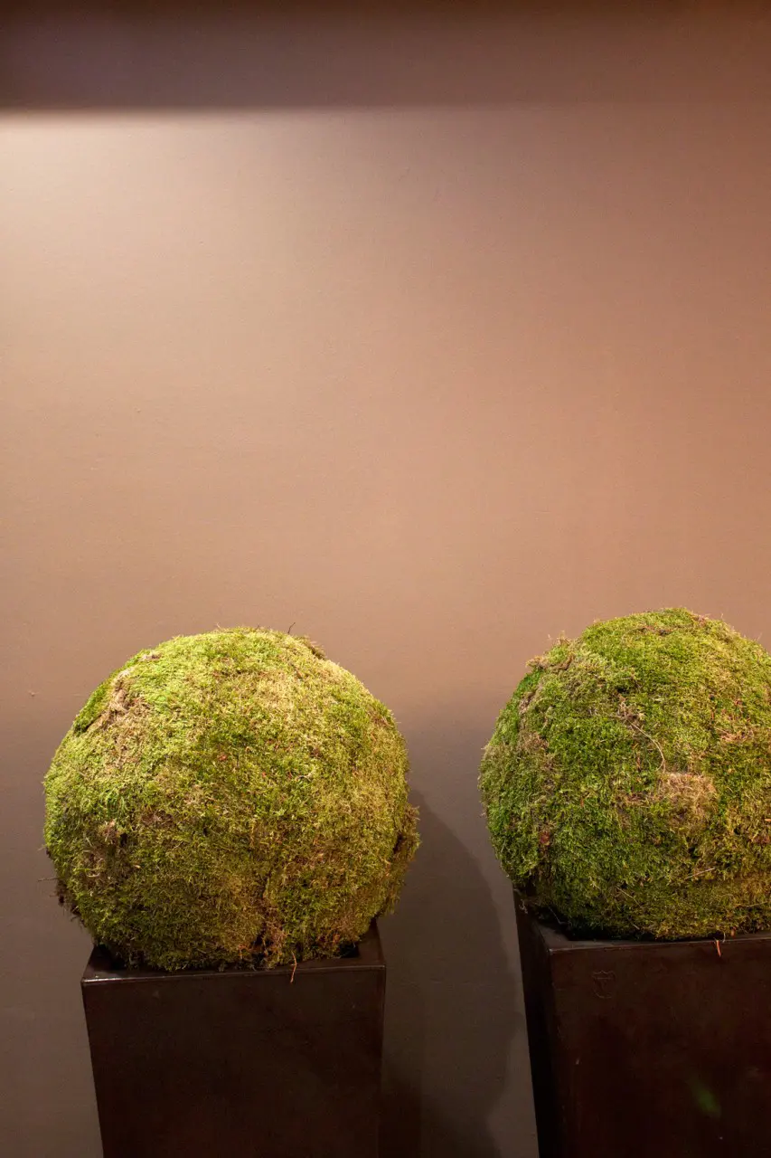 Proyecto De Interiorismo En Residencias | Hora Del Coffee | 13