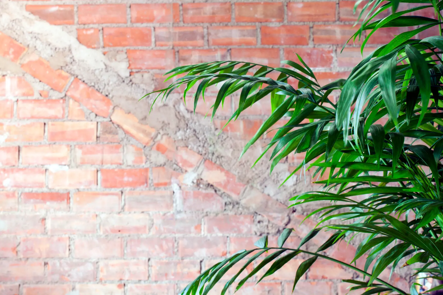 Proyectos De Interiorismo En Locales Comerciales | Gbn Studyo | 04