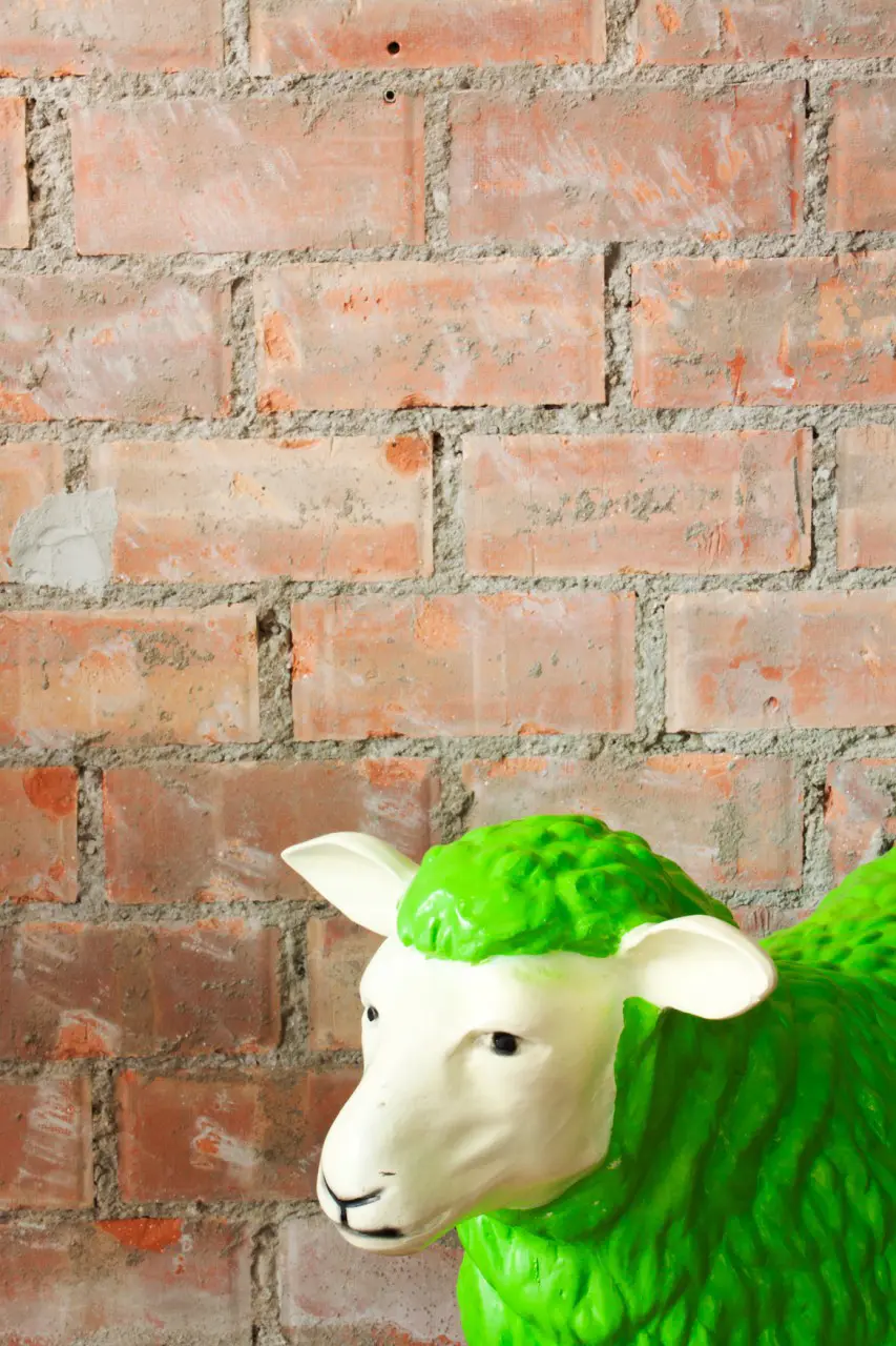 Proyectos De Interiorismo En Locales Comerciales | Gbn Studyo | 06