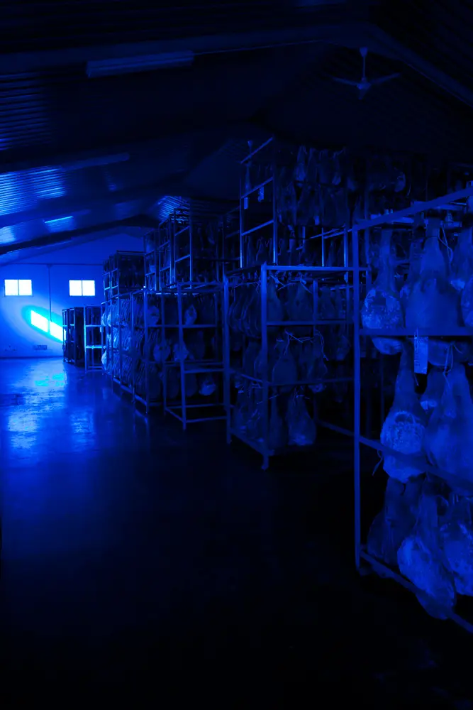 Proyectos De Interiorismo En Locales Comerciales | Jamones Casa Vieja | 16